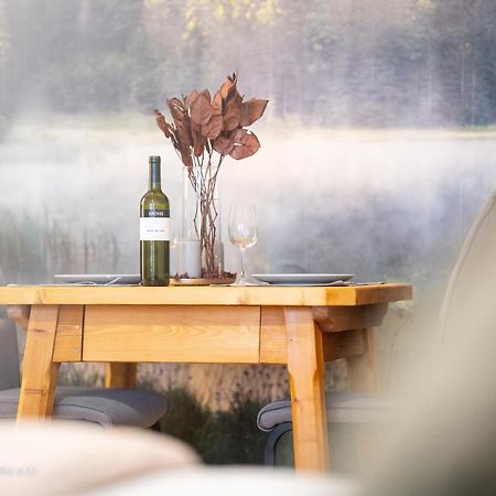 Ferienwohnung Somnia - Altstadt Gmunden Ngoại thất bức ảnh