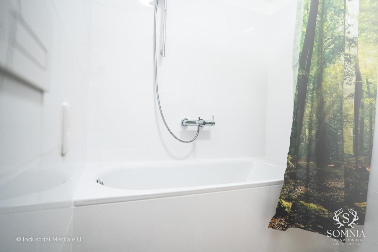 Ferienwohnung Somnia - Altstadt Gmunden Ngoại thất bức ảnh